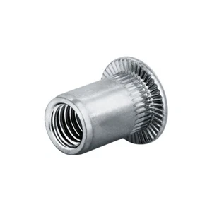 250 Blindnietmuttern Nietmuttern M10 Stahl verzinkt 12,9 x 25,0 mm Flachkopf off - Bild 1 von 7