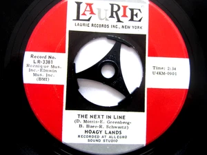 HOAGY LANDS - THE NEXT IN LINE / PLEASE DON'T TALK ABOUT ME 7" NORTHERN SOUL - Picture 1 of 2