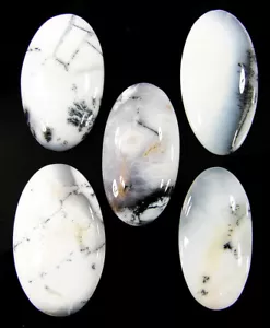 149,10 Karat natürlicher Dendritenopal 34-37 mm loser Edelstein Cabochon 5 Stck. Posten-62479 - Bild 1 von 5