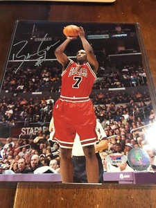 Ben Gordon Signed Chicago Bulls 8x10 Photo PSA - Picture 1 of 1