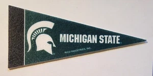Michigan State Spartans große 10 Mini Filz Wand Wimpel 4 x 9" - Bild 1 von 1