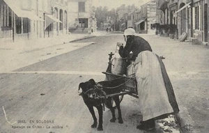 CP Repro 49 En Sologne Attelage de chien La Laitière - Imagen 1 de 2