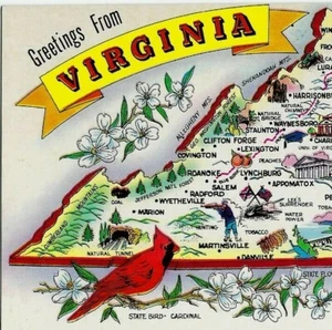 Grüße aus Virginia VA Staatskarte Kardinal Postkarte K-4905 - Bild 1 von 3
