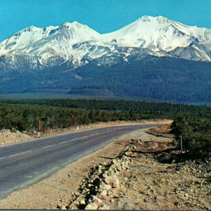 Mt Shasta Everitt Memorial Highway View Mountain Tops Forest CA Vintage Postcard - Picture 1 of 4