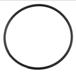 GENUINE ASTRAL HURLCON VIRON CL CARTRIDGE FILTER LID O RING ORING OEM - Picture 1 of 1