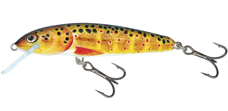 Salmo Minnow F Trout 7cm/6g - Bild 1 von 1