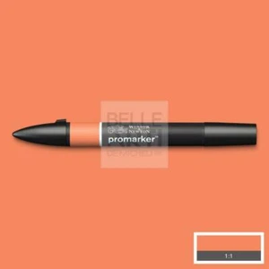 PENNARELLO PROMARKER - MANGO O248 - Picture 1 of 1