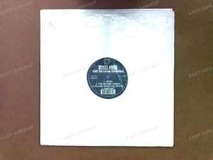 Mykill Miers - The Second Coming (Instrumentals) US 2LP 2001 . - Imagen 1 de 1