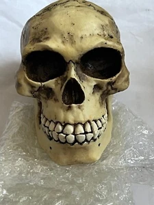 Nemesis Now - Skull - Small - 12cm - Paperweight Ornament - Picture 1 of 3