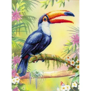 Kreuzstich Packung Riolis Toucan 0077PT - Picture 1 of 6