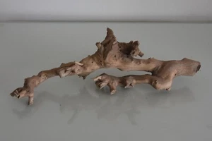 Vivarium, Ramo di Foresta Exo Terra Piccolo Circa 31 x 12 x 7 cm D Albero di Rettili - Foto 1 di 3