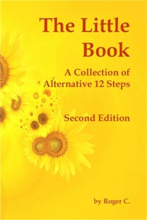 The Little Book: A Collection of Alternative 12 Steps (Paperback or Softback) Foto 1 de 1