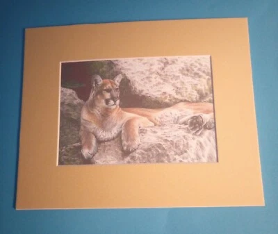 Impresión de pintura de 8" x 10" mate 5" x 7" de puma león de montaña en reposo puma Foto 1 de 3