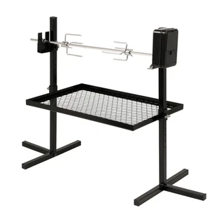 Edelstahl Grillspieß Set Drehspieß 70cm Motor und 2 Fleischnadeln BBQ-Toro - Bild 1 von 3