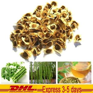 1000g Seed Organic Dried Moringa Oleifera Seeds Herbal Natural Health Skin Hair - Picture 1 of 12