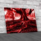 Centenarian Tree Beautiful Trunk Big Roots Red Canvas Print Large Picture Wall