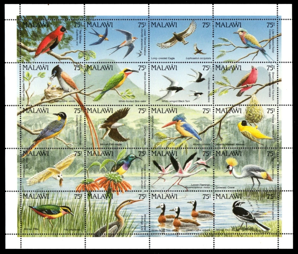 MALAWI 598 - African Birds "Souvenir Sheet" OS (pb49671) - Image 1 of 1