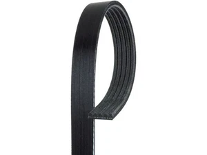 Air Conditioning Multi Rib Belt For 1995-1997 Honda Accord 2.7L V6 GAS SC164WJ - Picture 1 of 1