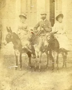 Donkey Promenade France old CDV Photo 1870 - Picture 1 of 2