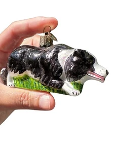 Old World Christmas BORDER COLLIE Blown Glass Dog Breed Ornament - Picture 1 of 9