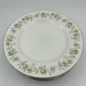 J. Haviland FOREVER SPRING Bayrisch 6" Brot Vorspeise Dessert Teller (5 Stück) - Bild 1 von 11