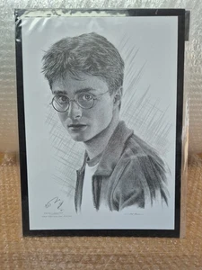 Jonathan Wood Pencil Sketch Drawing Print A4 HARRY POTTER Wonderful Xmas Gift - Picture 1 of 2