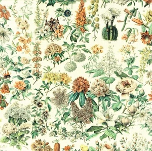 Free Spirit - Palette Orange By Tim Holtz - Botanical - Orange - Picture 1 of 7