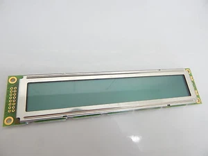 SIEKO L202200P L2022 Moduli Display LCD 2x20 PERSONAGGI NUOVI 1 PEZZO - Foto 1 di 2