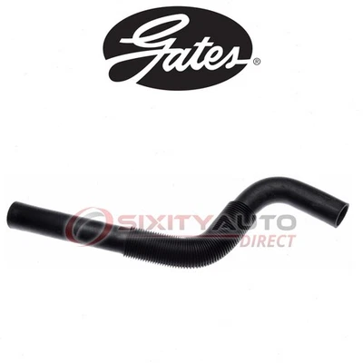 Gates Lower Radiator Coolant Hose for 2007-2008 Chrysler Sebring 2.4L L4 - qt Foto 1 de 4