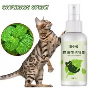 Catnip Spray For Cats Portable Fun For Indoor Cats Interactive new and Nice - Picture 1 of 10