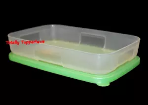 Contenedor de esfera inteligente Tupperware Freeze rectángulo 2,5 tazas verde congelador mate nuevo de lote antiguo - Imagen 1 de 2