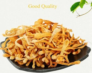 250g Cordyceps Militaris/Chong Cao Hua/North Cordyceps Herbal Cordyceps Flower - Picture 1 of 4