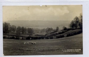 (Gc8445) RPPC, In The Cotswold Countryside, Nr Stow on the Wold, 1914 - Imagen 1 de 4