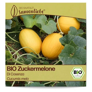 BIO Zuckermelonen Samen Sorte Di Cosenza Gemüsesamen BIO Gemüse Saatgut samenfes - Bild 1 von 8