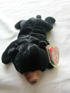 Ty Beanie Baby Blackie The Plush Black Bear-1993 - Picture 1 of 5