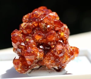 Garnet Var. Spessartine on Microcline. Tongbei, Yunxiao, Fujian Prov., China - Picture 1 of 9