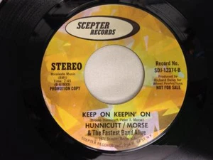 HUNNICUTT / MORSE 45: If It Feels Good Do It, 1972 Scepter Records Promo - Picture 1 of 2