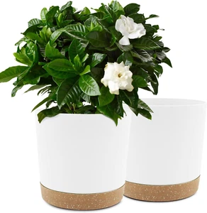 10 Inch Plant Pot, 2 Pack Planters for Indoor with Drainage Holes & Saucer, Outd - Picture 1 of 12