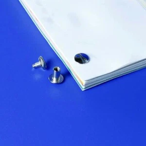 100 x Binding Screws Interlock Screwlock Binding Posts Chicago Screws - Picture 1 of 9
