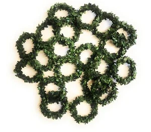20 Mini Buchskranz künstlich Buxring Serviettenring 6cm Buchsbaum Ringe Kranz - Bild 1 von 2