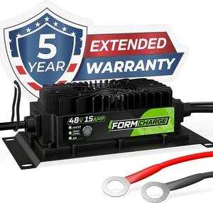 FORM 48V 15A Battery Charger for ICON Golf Carts 2017-2025 LiFePO4 Lead Acid AGM - Picture 1 of 6