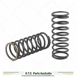 Lister A & AK Junior Valve Spring Set (Pair) Replaces 2-419 & 002-00419 - Picture 1 of 2