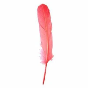 Goose Pointer Feathers 10 grams - Coral - Picture 1 of 1