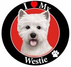 I love my Westie Magnet (Use on vehicle, frig, locker, file cabinet)