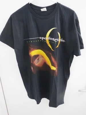 A Perfect Circle Album Tour 2010 Thirteenth Step Black T-Shirt, Size Large, NEW - Image 1 of 4