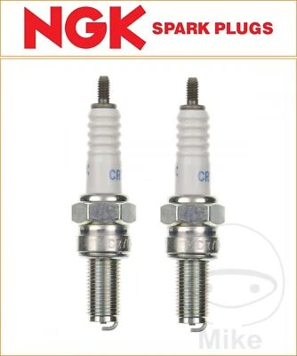 Derbi Paddock 50 AC 1998-1999 Pack of 2 NGK Spark Plugs [CR7E] - Image 1 of 2