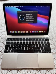 Apple MacBook Notebook 12-Zoll 2015 A1534 Intel Core M, 8GB DDR3, 250GB Festplat - Bild 1 von 6