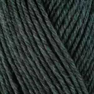 Berroco :: Ultra Wool #33158:: filato di lana superwash rosmarino - Foto 1 di 9