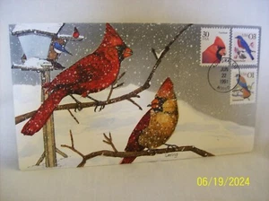 Copertina primo giorno Geerlings per il Cardinale dal 1991 89/124 - Foto 1 di 1