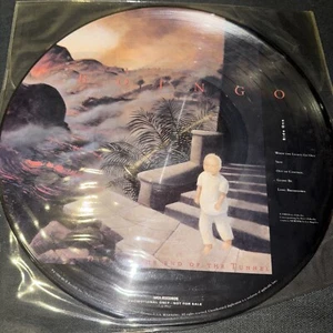 Oingo Boingo - Darkness at the End of the Tunnel (Rare Promo Picture Disc Vinyl) - Bild 1 von 6